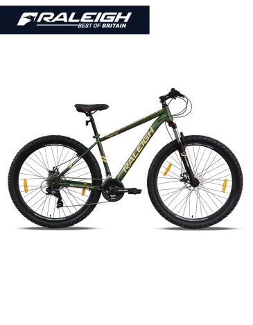 phase pro raleigh multispeed bicycle